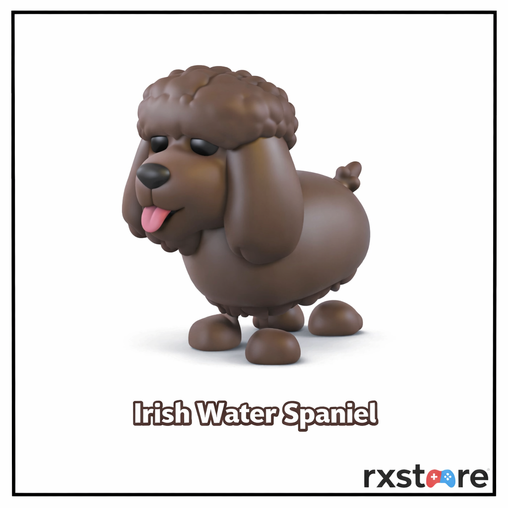 Irish Water Spaniel